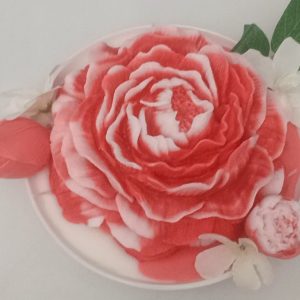 Red Rose Flower Plates/12 Scented Candle