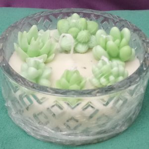 A Pastel Green Succulent Jar Scented Candle